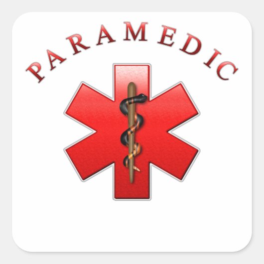 救急医療隊員 スクエアシール (正面)