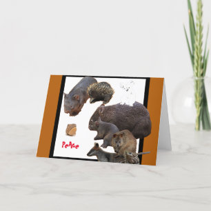 救我々、平和 シーズンカード