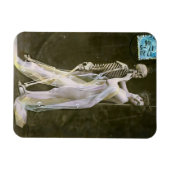 救最後の踊り マグネット (横)