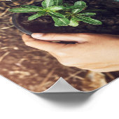 救木の植樹 ポスター (角)