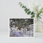 救森 ポストカード (スタンド正面)