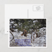 救森 ポストカード (正面/裏面)