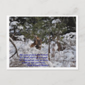 救森 ポストカード (正面)