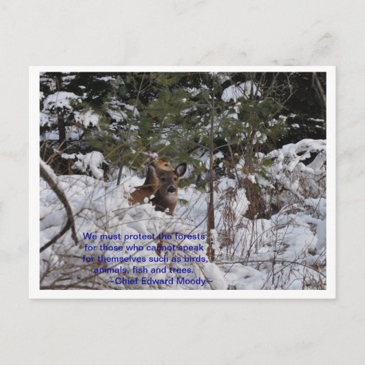 救森 ポストカード (正面)