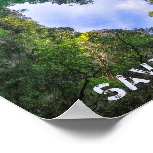 救樹林ハート景観エコ ポスター (角)