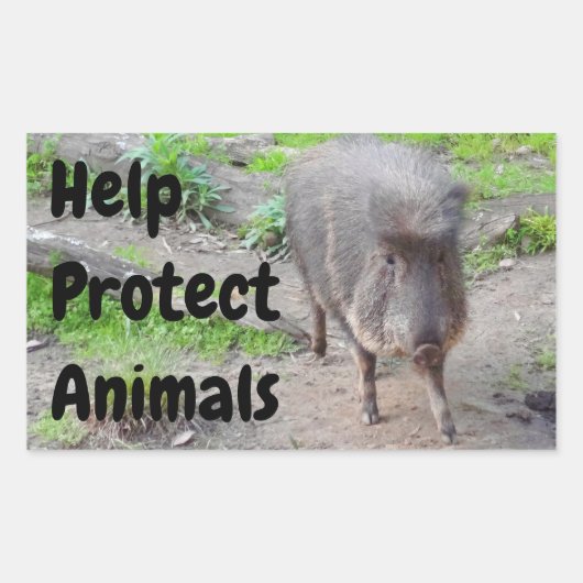 救済保護Animals Chacoan Peccary #1 Stickers 長方形シール (正面)