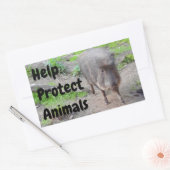 救済保護Animals Chacoan Peccary #1 Stickers 長方形シール (封筒)