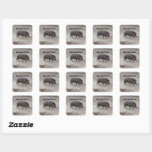 救済保護Animals Chacoan Peccary #2 Stickers スクエアシール (シート)