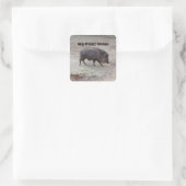 救済保護Animals Chacoan Peccary #2 Stickers スクエアシール (バッグ)