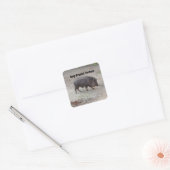 救済保護Animals Chacoan Peccary #2 Stickers スクエアシール (封筒)
