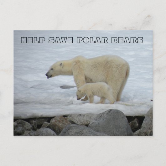 救済救極 ポストカード (正面)