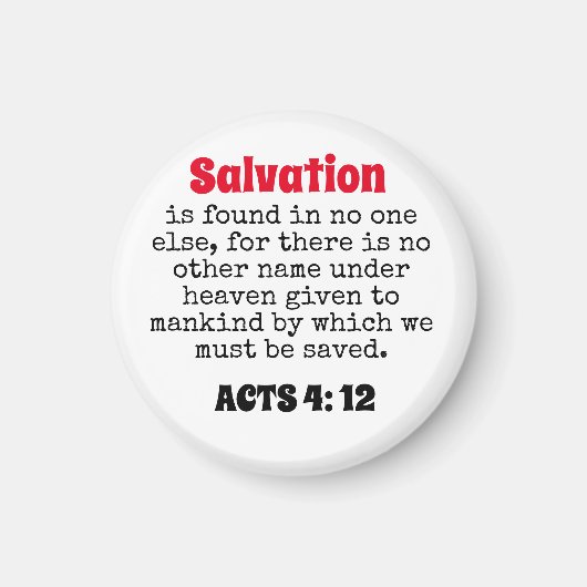 救済 マグネット (正面)