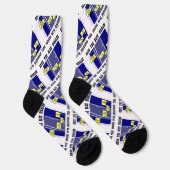 救絶滅寸前の青クジラ ソックス (右)