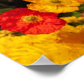 救美しいかわいらし惑星 ポスター (角)