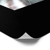 救虎のポスター ポスター (角)