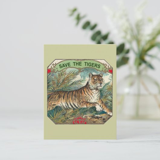 救虎 ポストカード (スタンド正面)