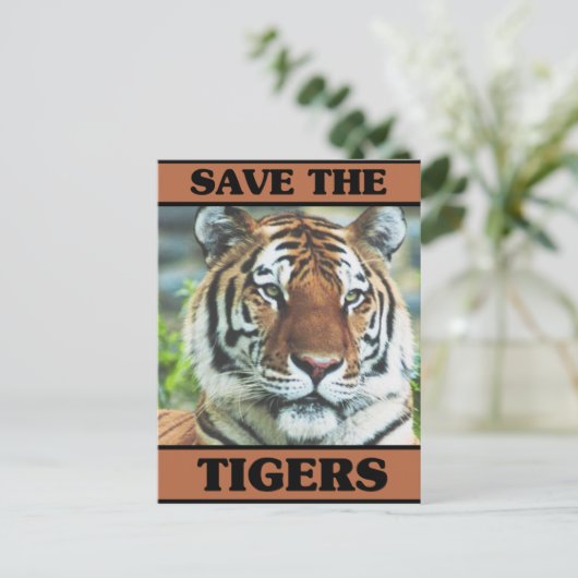 救虎 ポストカード (スタンド正面)