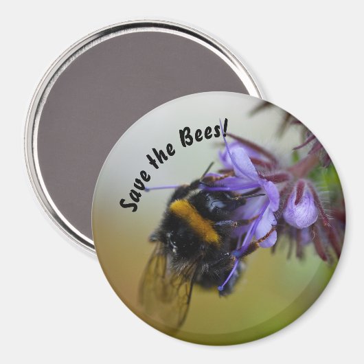 「救蜂だ！」 マグネット (正面/裏面)