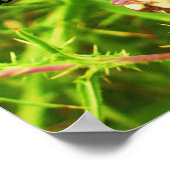 救蜂のポスター ポスター (角)