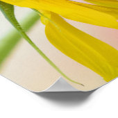 救蜂 ポスター (角)