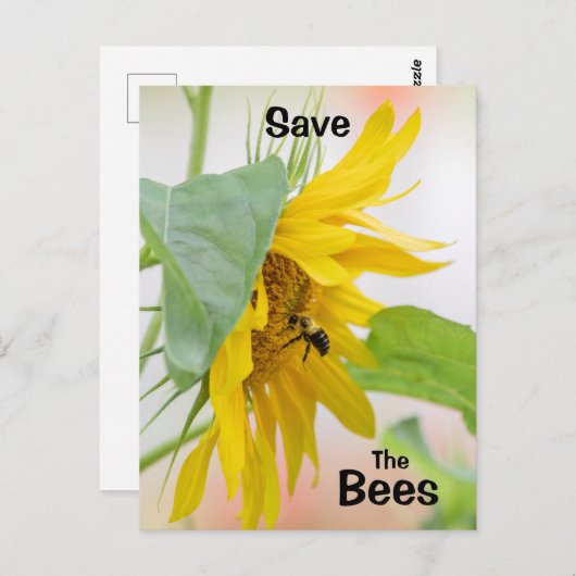 救蜂 ポストカード (正面/裏面)