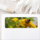 救蜂 ラベル (インサイチュ)