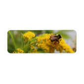 救蜂 ラベル (正面)