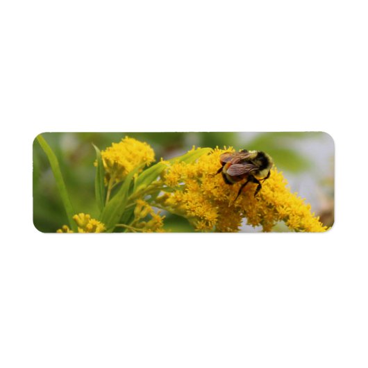 救蜂 ラベル (正面)