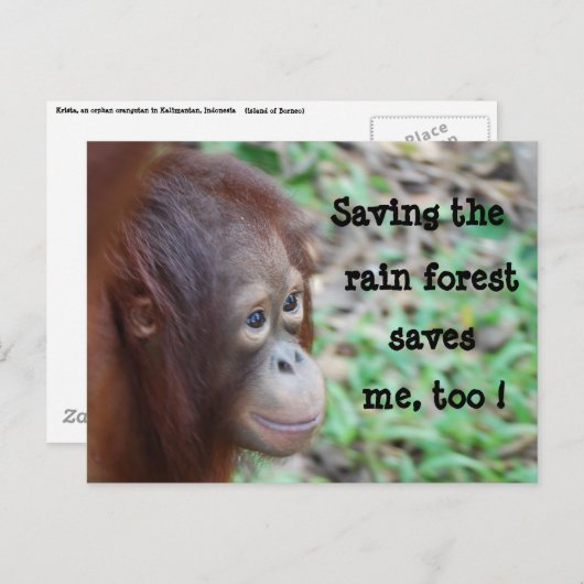 救野生生物と熱帯雨林はがき ポストカード (正面/裏面)