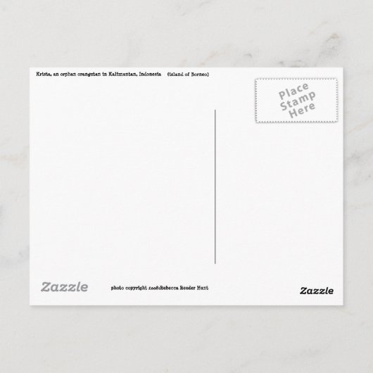 救野生生物と熱帯雨林はがき ポストカード (裏面)