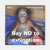 救野生生物の保全 マグネット (正面)