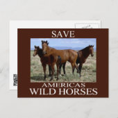 救野馬 ポストカード (正面/裏面)