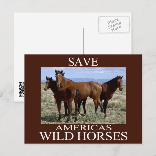 救野馬 ポストカード (正面/裏面)