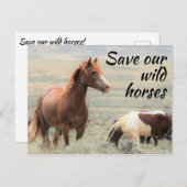 救野馬 ポストカード (正面/裏面)