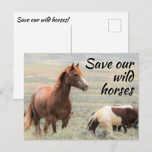 救野馬 ポストカード (正面/裏面)