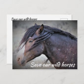 救野馬 ポストカード (正面/裏面)