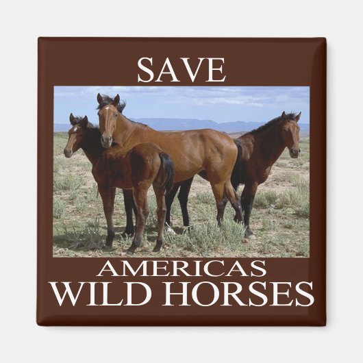 救野馬 マグネット (正面)