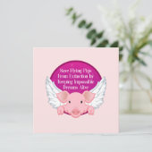 救飛んでいる豚 カード (スタンド正面)