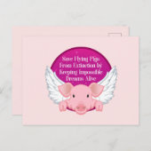 救飛んでいる豚 ポストカード (正面/裏面)