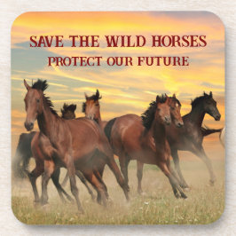 救馬 コースター