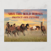 救馬 ポストカード (正面)