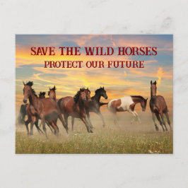 救馬 ポストカード