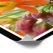 救(昆虫)オオカバマダラ、モナーク ポスター (角)