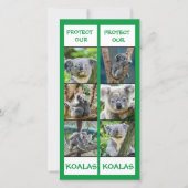 救Koalas, Bookmarks(Koalas,保護 Bookmark) カード (正面)