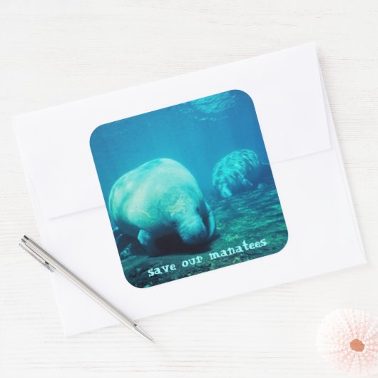 救Manatees Stickers スクエアシール (封筒)