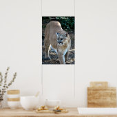 「救Our Planet」クーガー写真ポスター ポスター (キッチン)