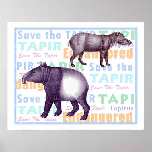 救Tapir Poster - American & Asian Tapirs ポスター (正面)