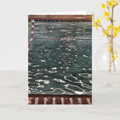 敗者の友人の誕生日 カード (黄色い花)