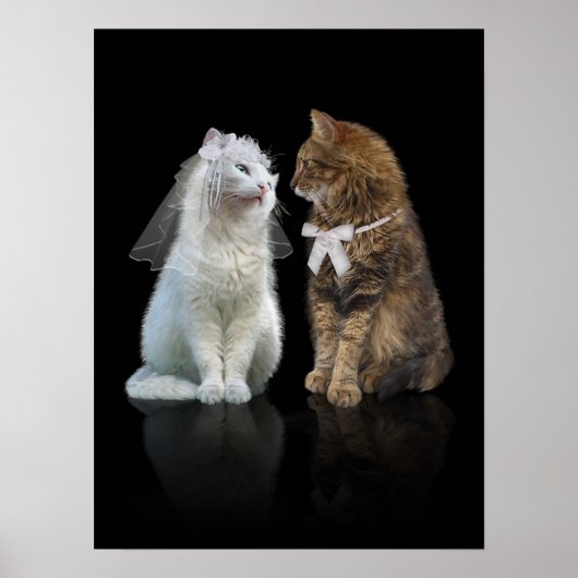 教えてくれないか? ポスター (正面)