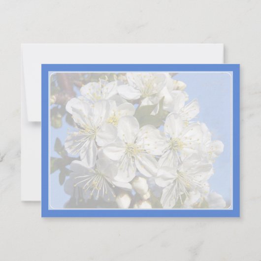 教えろ！  カード (裏面)